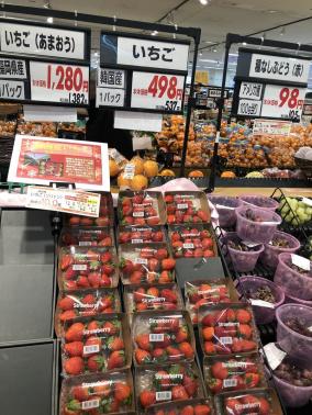 韓国に不法流出した苺苗「雪香」がイオンで販売される