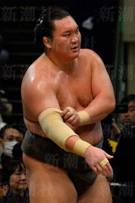 白鵬、異常に硬い特注サポーターの使用が発覚