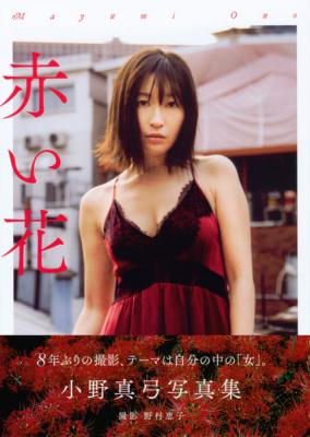 アコムでブレイクした小野真弓が今更のセミヌード