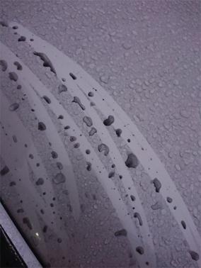 埼玉でナゾの黒い雨が降る恐怖