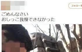 ゲイモデルがTDLで放尿偽装動画をUPし炎上