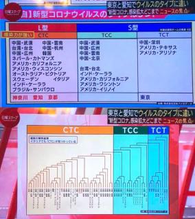 武漢・イタリア死者が多いのは新型コロナウイルスL型説