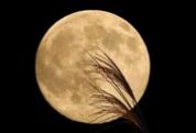 カガチの冒険日誌 2013/09/19(木) 16時45分 9/19は中秋の名月当夜の満月、次は2021年...Googleロゴも月見
