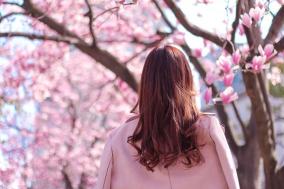 仮想通貨投資OL浦木優のくりぷとメモ ： 楽天の仮想通貨取引所、始動は6月
