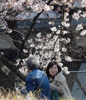 リアル失楽園・NHK與芝アナと老け過ぎ映画監督が不倫
