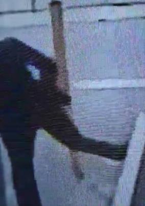 女児殺害事件取材中の記者が、家にケリを入れる動画が拡散