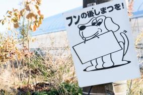 【体験談】犬のフン害を超絶減らすことができた方法