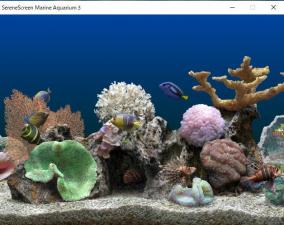 アクアリウムスクリーンセーバー「Marine Aquarium3」にライセンス認証の弱点が発見される