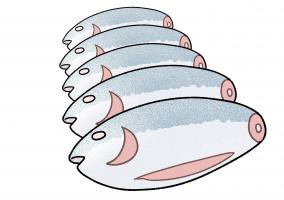 冷凍マグロ嬢を解凍する方法