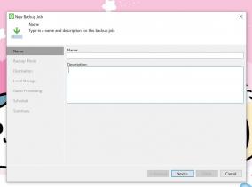 高機能バックアップソフト「Veeam Agent for Windows」にライセンス認証の弱点が発見される