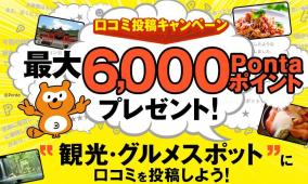 口コミ投稿キャンペーンにできる限り口コミ投稿した件について