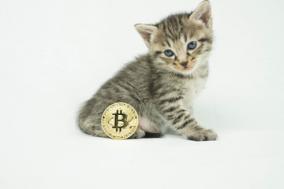 仮想通貨投資OL浦木優のくりぷとメモ ： 米SEC、ビットコインETFの上場申請退ける