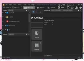 AI搭載の写真管理ソフト「ACDSee Photo Studio Home 2026」にライセンス認証の弱点が発見される