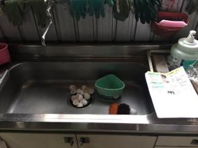 鉄腕DASHスタッフがゴミ放置