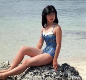 中森明菜のグラビア画像集めてみたけど・・・需要ある？　【16枚】