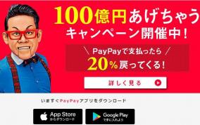 PayPay祭り開催中 ～転売以外での儲け方～