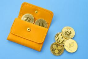 クリニック 国内の取引所でSolanaを購入して個人のウォレットに送金したい