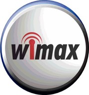 WiMAX1年間を半額で利用する方法
