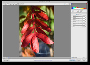 Adobeを経由せずにPhotoshop CS6を使用する方法 ポータブル版
