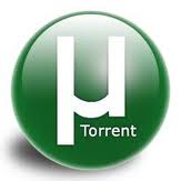 出来るだけリスクを減らしてTorrentでダウンロードする方法