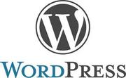 Wordpress向け有料プラグインを無料で使う方法