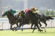 会員限定の競馬有料情報が聞ける電話番号