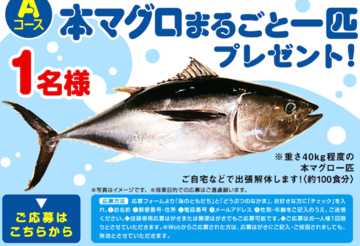 激裏ヘッドラインニュース 2014/09/04(木) 15時55分 【森永製菓の本気】「おっとっと」人気投票キャンペーンでマグロ1本食べよう！