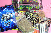 20110213184146ha-bu.jpg