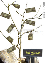 money-tree.jpg
