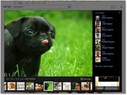 3821-puppies-1-jpg-550x0.jpg