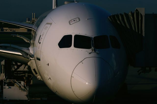 扉が開く瞬間の飛行機