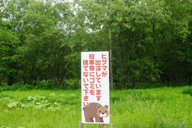 熊出没の看板