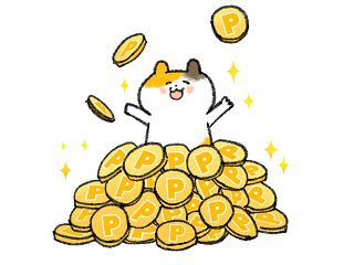 たくさんのポイントに喜ぶ猫