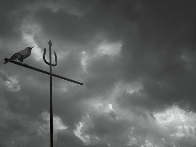 暗い空とカラス