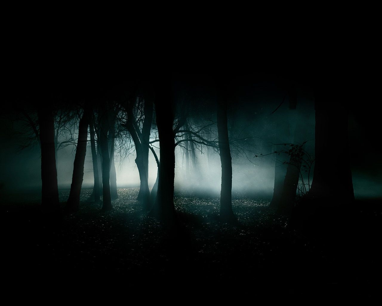 闇に包まれる森