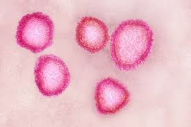 ピンクのウイルス