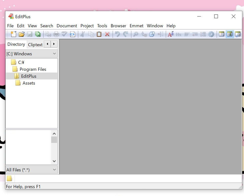 EditPlusの起動画面