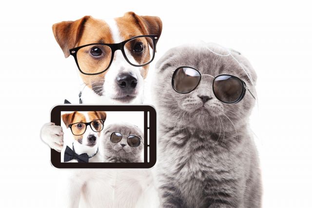 スマホで自撮りするメガネをかけた犬と猫