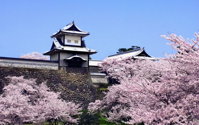 春の金沢城の風景