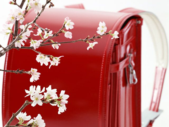 赤いランドセルと桜の花