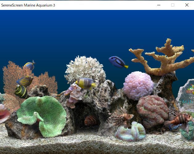 Marine Aquarium3の起動画面