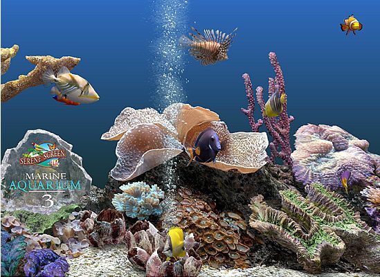 SereneScreen Marine Aquariumの起動画面