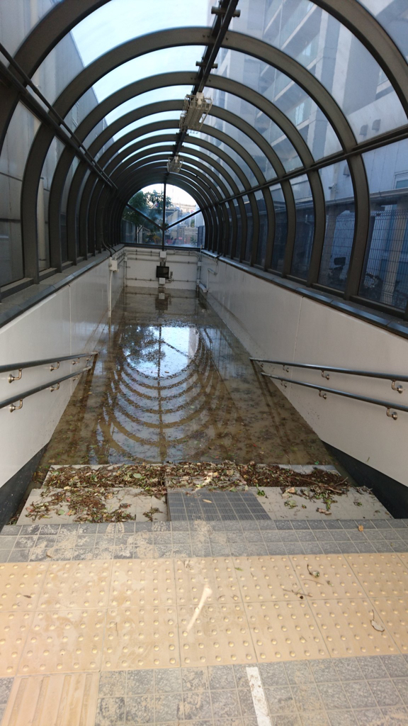 地下通路は茶色い液体により水没中