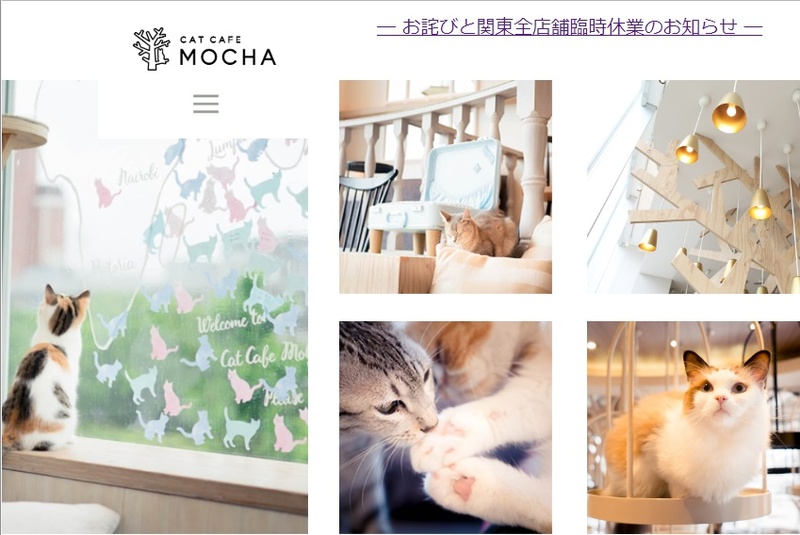 猫カフェ MOCHA休業のお知らせ