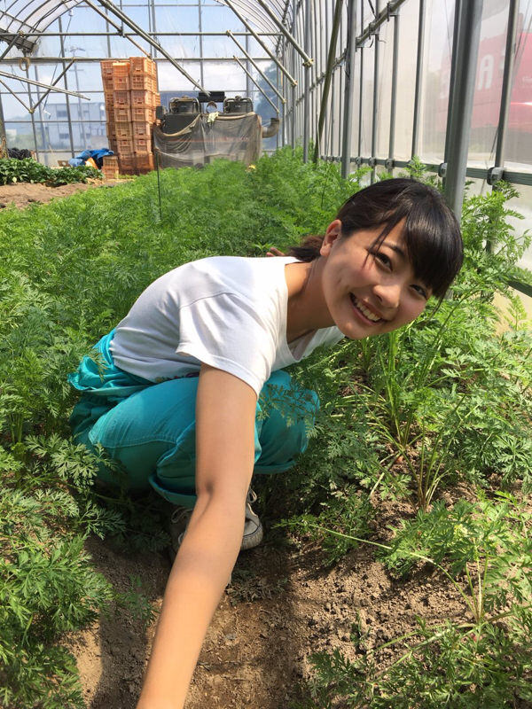 農作業をする女性