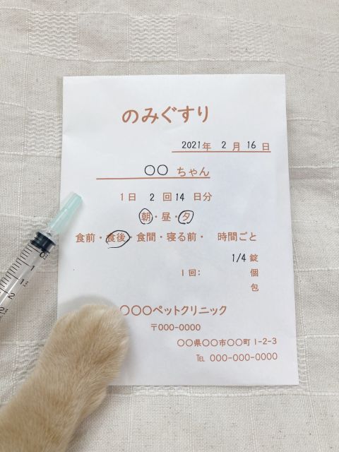 動物病院の薬と猫の手