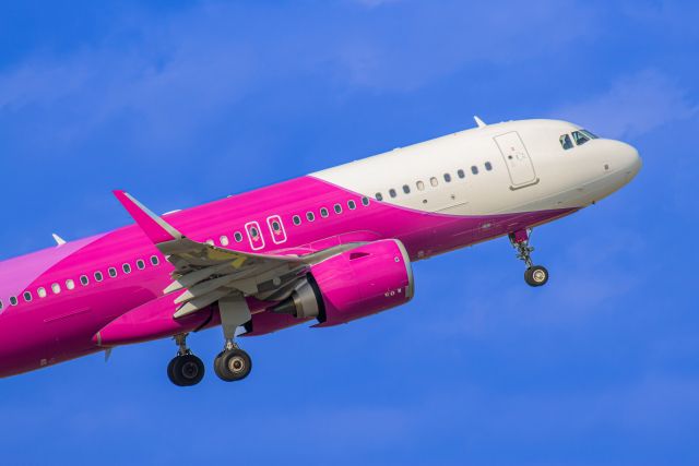 青空の中飛ぶピンクの飛行機