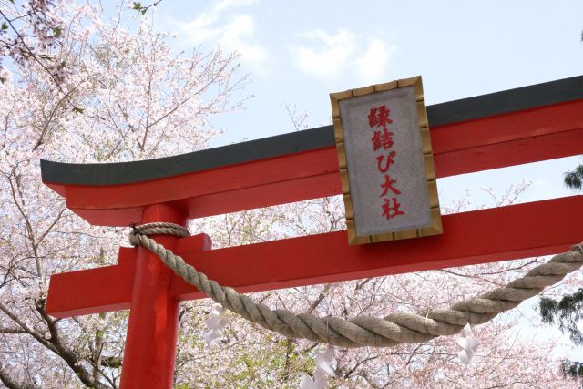縁結び神社の鳥居