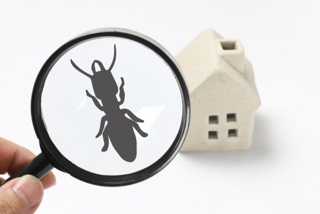 白い家にいるアリを虫眼鏡で見る