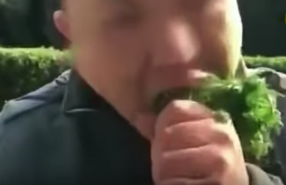 草を食べている男性